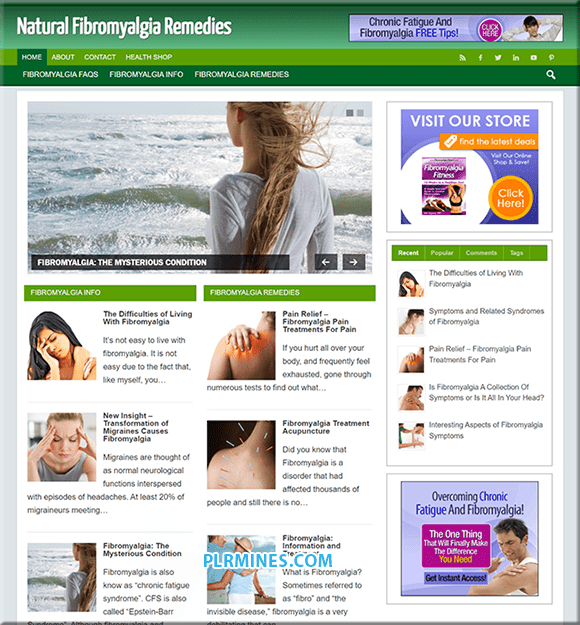 Fibromyalgia Remedy PLR Blog