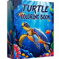 turtle book coloring sheets