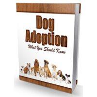 dog adoption what you should know1