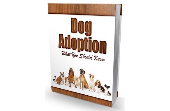 Dog Adoption What You Should Know