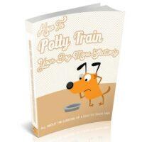 how to potty train your dog more effectively 1