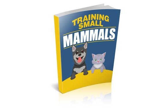 Training Small Mammals