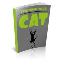 training your cat1